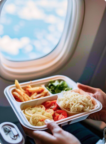 flight survey